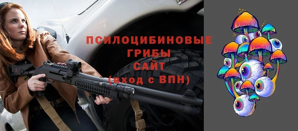 эйфоретик Няндома