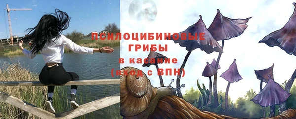 spice Новозыбков