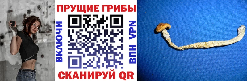 ссылка на мегу маркетплейс  Челябинск  Галлюциногенные грибы мицелий 