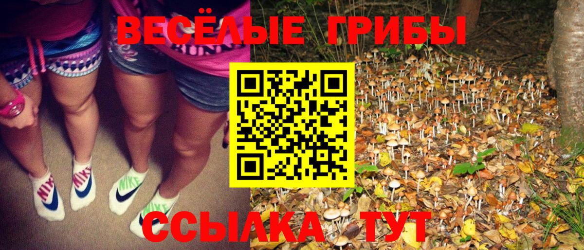 Псилоцибиновые грибы мицелий  Челябинск 