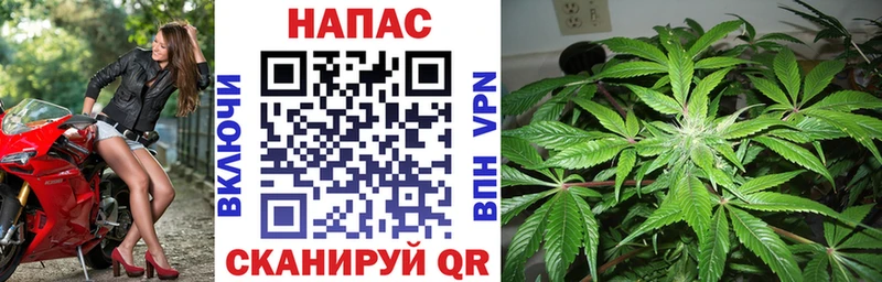 Шишки марихуана марихуана  мега ССЫЛКА  Челябинск 